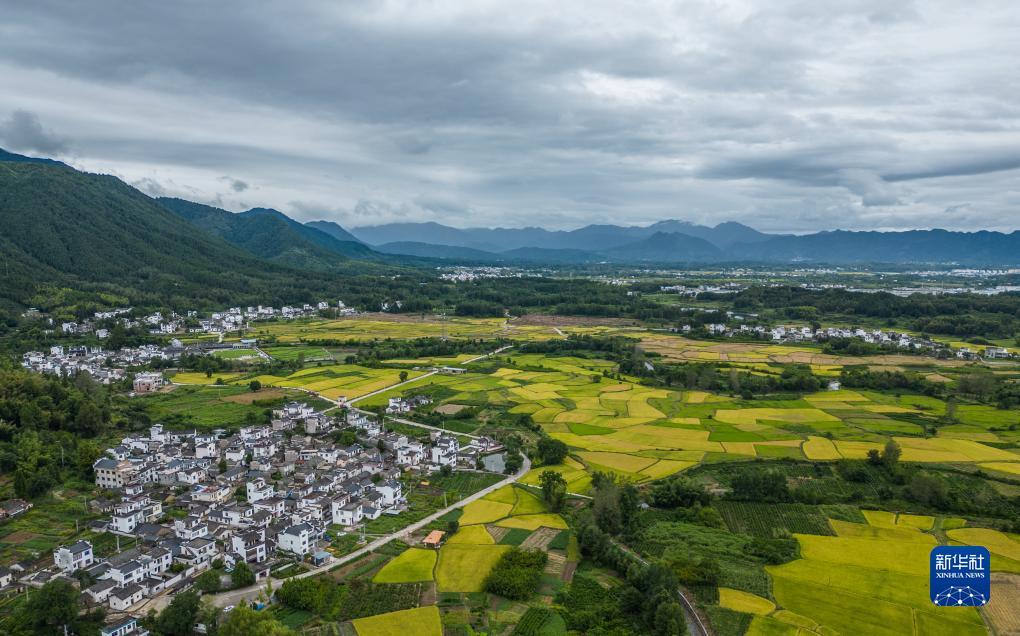 集结号送5万分